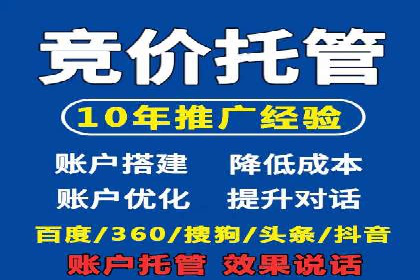 竞价推广公司经典案例：打造行业领先的广告投放效果